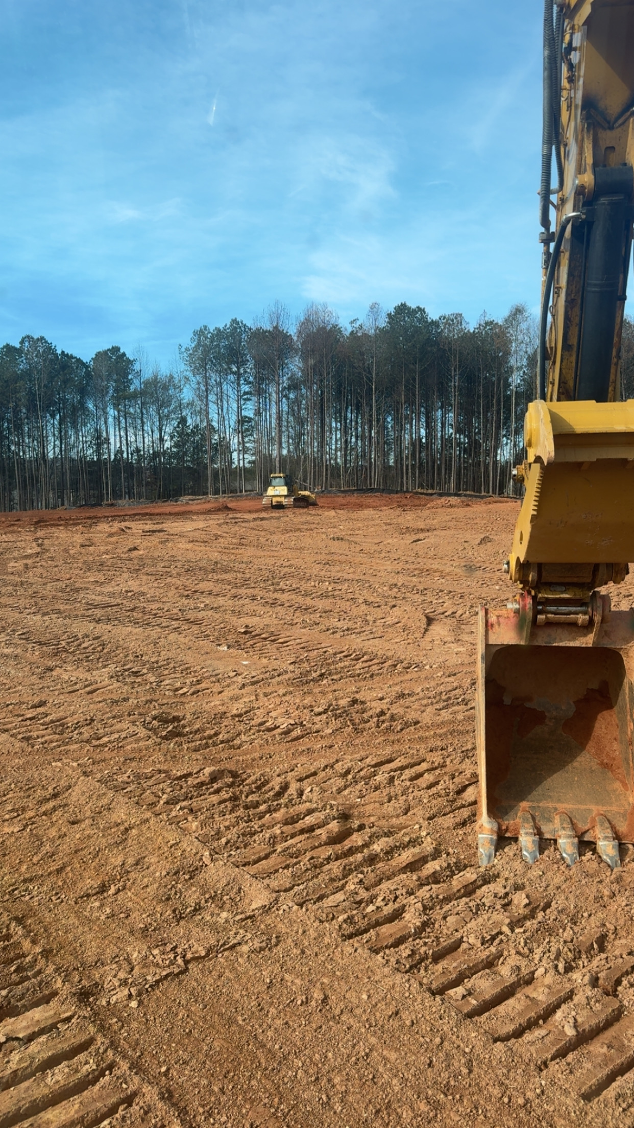 Erosion control ground cover installed by Gibbs Grading in Northwest Georgia